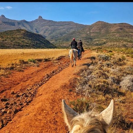 Twin Peaks Cottages And Horse Trekking マセル エクステリア 写真