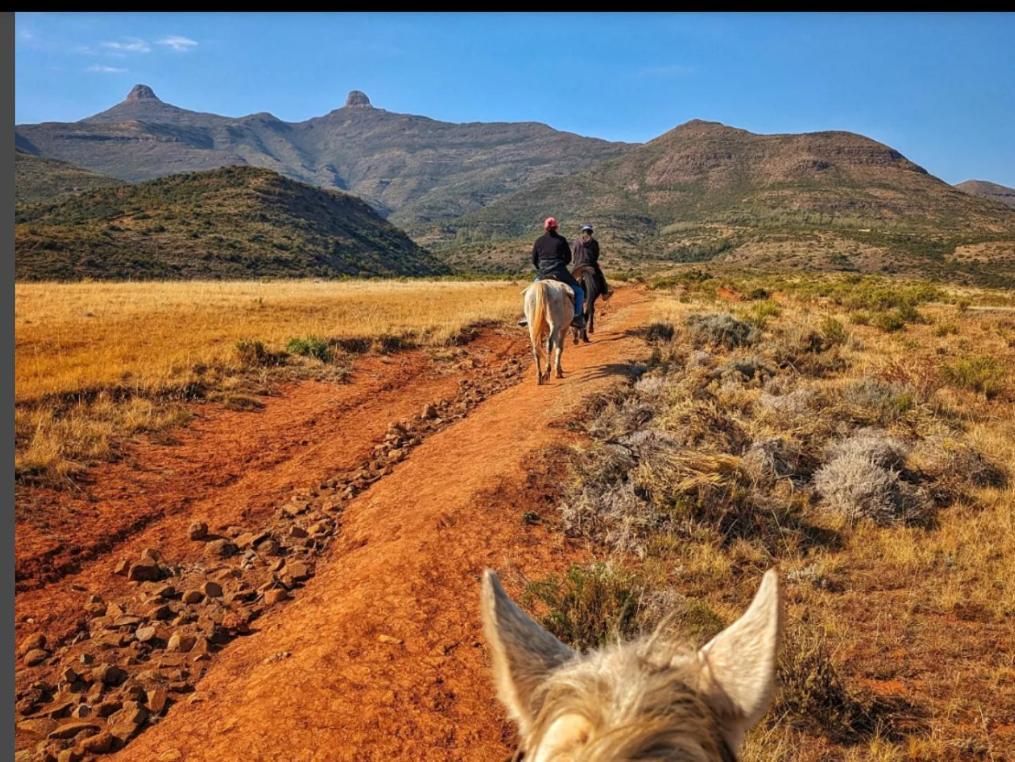 Twin Peaks Cottages And Horse Trekking マセル エクステリア 写真